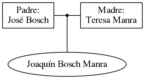 This is a graph with borders and nodes. Maybe there is an Imagemap used so the nodes may be linking to some Pages.