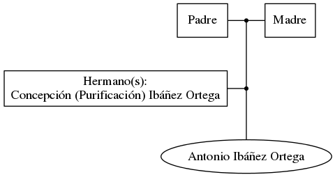 This is a graph with borders and nodes. Maybe there is an Imagemap used so the nodes may be linking to some Pages.