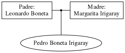 This is a graph with borders and nodes. Maybe there is an Imagemap used so the nodes may be linking to some Pages.