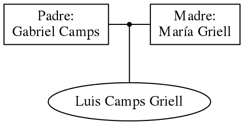 This is a graph with borders and nodes. Maybe there is an Imagemap used so the nodes may be linking to some Pages.