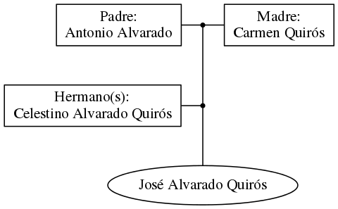 This is a graph with borders and nodes. Maybe there is an Imagemap used so the nodes may be linking to some Pages.