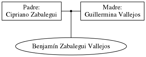 This is a graph with borders and nodes. Maybe there is an Imagemap used so the nodes may be linking to some Pages.