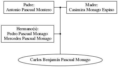 This is a graph with borders and nodes. Maybe there is an Imagemap used so the nodes may be linking to some Pages.