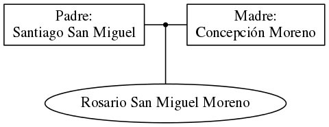 This is a graph with borders and nodes. Maybe there is an Imagemap used so the nodes may be linking to some Pages.