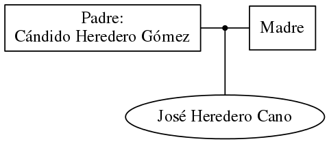 This is a graph with borders and nodes. Maybe there is an Imagemap used so the nodes may be linking to some Pages.