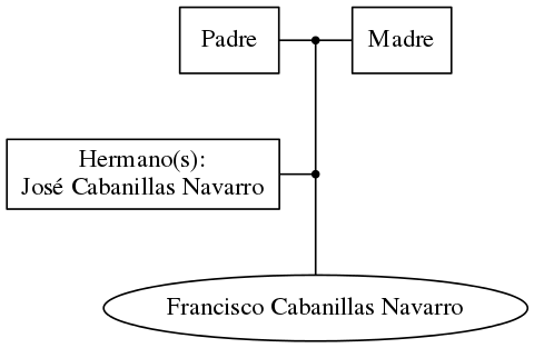 This is a graph with borders and nodes. Maybe there is an Imagemap used so the nodes may be linking to some Pages.