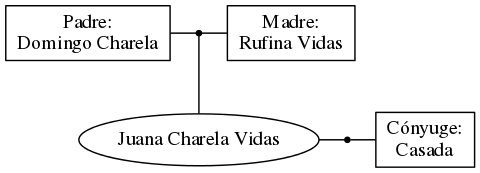 This is a graph with borders and nodes. Maybe there is an Imagemap used so the nodes may be linking to some Pages.