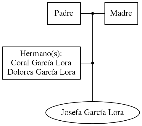 This is a graph with borders and nodes. Maybe there is an Imagemap used so the nodes may be linking to some Pages.