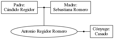 This is a graph with borders and nodes. Maybe there is an Imagemap used so the nodes may be linking to some Pages.