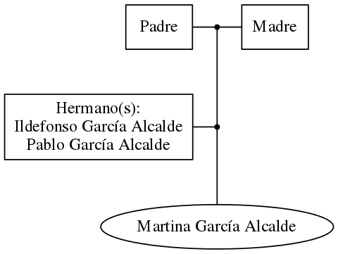 This is a graph with borders and nodes. Maybe there is an Imagemap used so the nodes may be linking to some Pages.