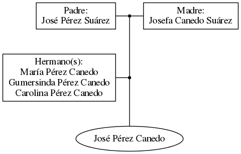 This is a graph with borders and nodes. Maybe there is an Imagemap used so the nodes may be linking to some Pages.