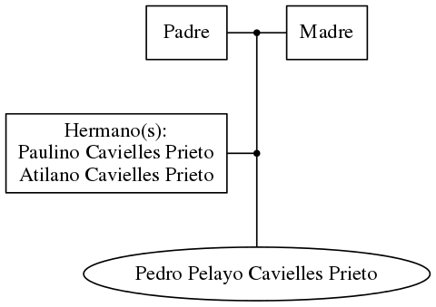 This is a graph with borders and nodes. Maybe there is an Imagemap used so the nodes may be linking to some Pages.