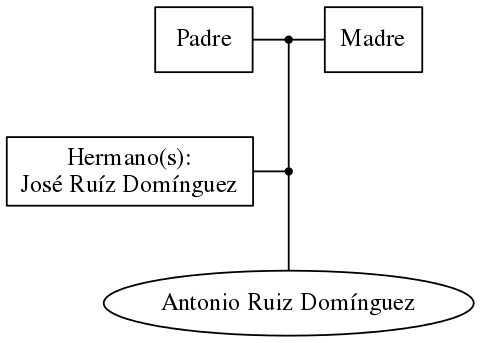 This is a graph with borders and nodes. Maybe there is an Imagemap used so the nodes may be linking to some Pages.