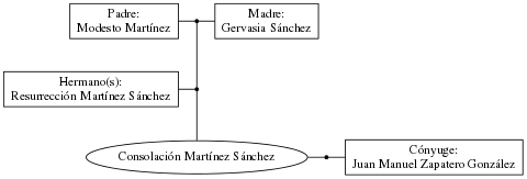 This is a graph with borders and nodes. Maybe there is an Imagemap used so the nodes may be linking to some Pages.