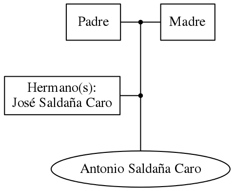 This is a graph with borders and nodes. Maybe there is an Imagemap used so the nodes may be linking to some Pages.