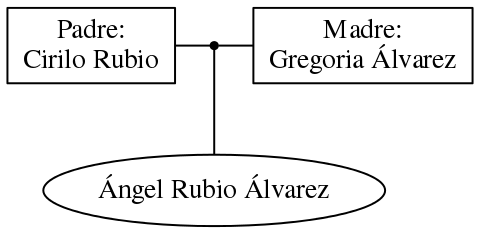 This is a graph with borders and nodes. Maybe there is an Imagemap used so the nodes may be linking to some Pages.