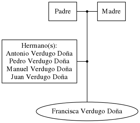 This is a graph with borders and nodes. Maybe there is an Imagemap used so the nodes may be linking to some Pages.