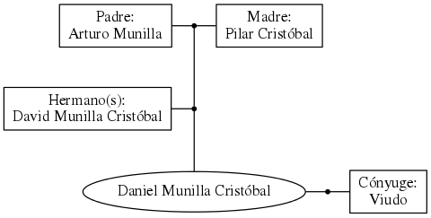 This is a graph with borders and nodes. Maybe there is an Imagemap used so the nodes may be linking to some Pages.