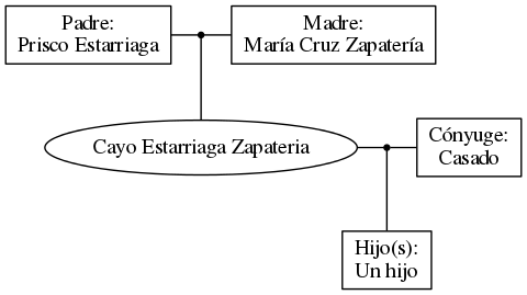 This is a graph with borders and nodes. Maybe there is an Imagemap used so the nodes may be linking to some Pages.