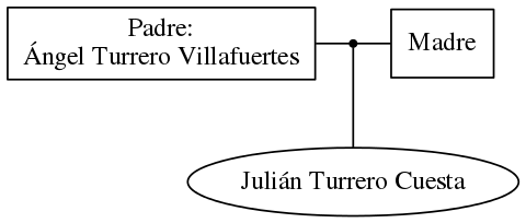 This is a graph with borders and nodes. Maybe there is an Imagemap used so the nodes may be linking to some Pages.