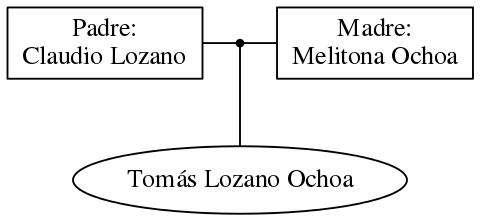 This is a graph with borders and nodes. Maybe there is an Imagemap used so the nodes may be linking to some Pages.