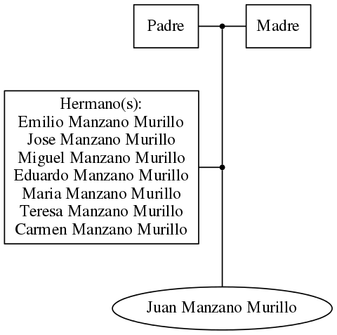 This is a graph with borders and nodes. Maybe there is an Imagemap used so the nodes may be linking to some Pages.