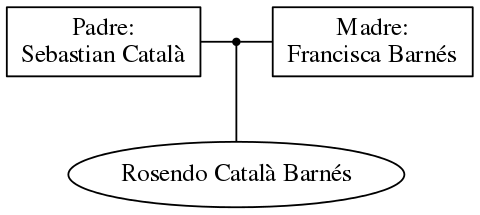 This is a graph with borders and nodes. Maybe there is an Imagemap used so the nodes may be linking to some Pages.