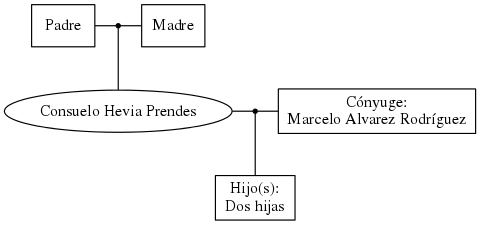 This is a graph with borders and nodes. Maybe there is an Imagemap used so the nodes may be linking to some Pages.