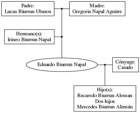 This is a graph with borders and nodes. Maybe there is an Imagemap used so the nodes may be linking to some Pages.