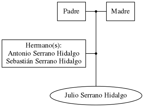 This is a graph with borders and nodes. Maybe there is an Imagemap used so the nodes may be linking to some Pages.