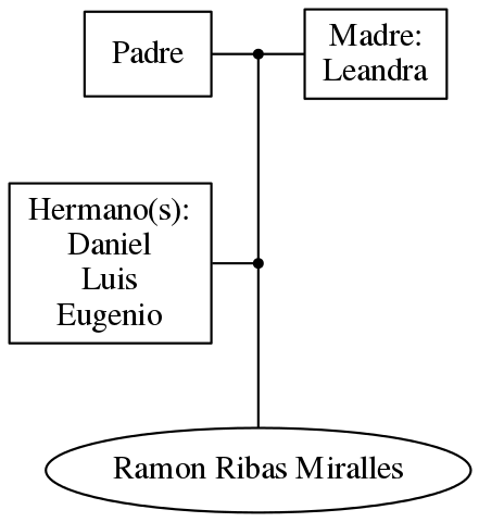 This is a graph with borders and nodes. Maybe there is an Imagemap used so the nodes may be linking to some Pages.