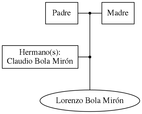 This is a graph with borders and nodes. Maybe there is an Imagemap used so the nodes may be linking to some Pages.