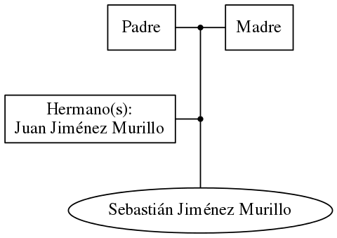 This is a graph with borders and nodes. Maybe there is an Imagemap used so the nodes may be linking to some Pages.