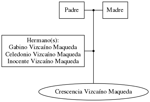 This is a graph with borders and nodes. Maybe there is an Imagemap used so the nodes may be linking to some Pages.