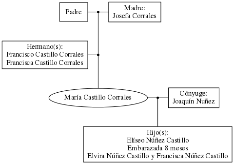 This is a graph with borders and nodes. Maybe there is an Imagemap used so the nodes may be linking to some Pages.