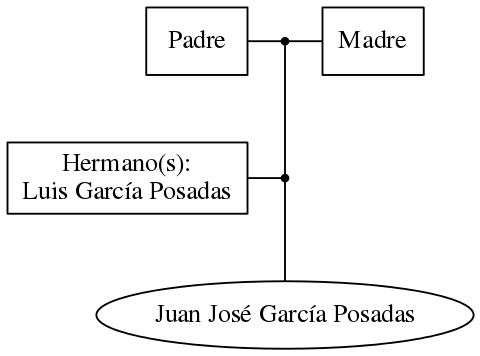 This is a graph with borders and nodes. Maybe there is an Imagemap used so the nodes may be linking to some Pages.