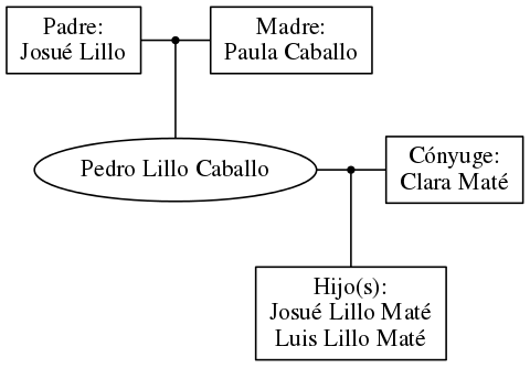 This is a graph with borders and nodes. Maybe there is an Imagemap used so the nodes may be linking to some Pages.