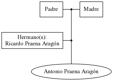 This is a graph with borders and nodes. Maybe there is an Imagemap used so the nodes may be linking to some Pages.