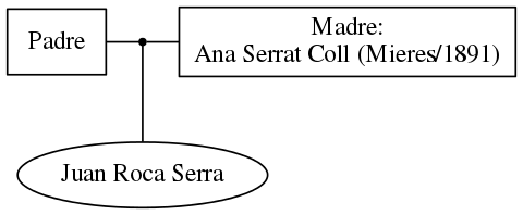 This is a graph with borders and nodes. Maybe there is an Imagemap used so the nodes may be linking to some Pages.