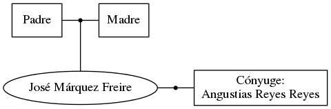 This is a graph with borders and nodes. Maybe there is an Imagemap used so the nodes may be linking to some Pages.