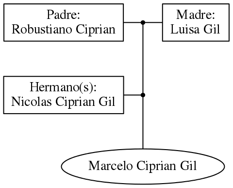 This is a graph with borders and nodes. Maybe there is an Imagemap used so the nodes may be linking to some Pages.