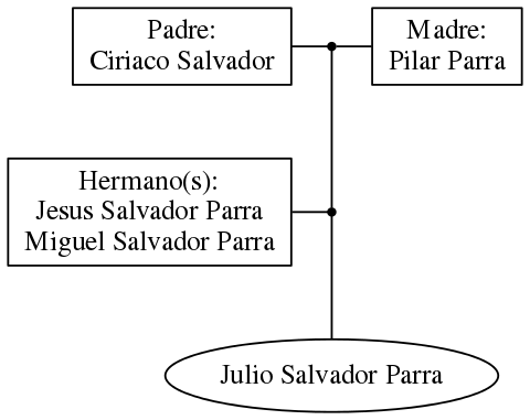 This is a graph with borders and nodes. Maybe there is an Imagemap used so the nodes may be linking to some Pages.