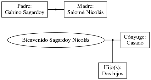 This is a graph with borders and nodes. Maybe there is an Imagemap used so the nodes may be linking to some Pages.