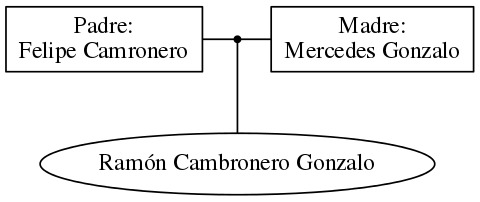 This is a graph with borders and nodes. Maybe there is an Imagemap used so the nodes may be linking to some Pages.