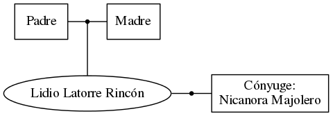 This is a graph with borders and nodes. Maybe there is an Imagemap used so the nodes may be linking to some Pages.