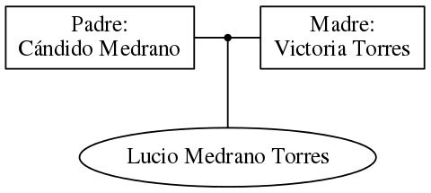 This is a graph with borders and nodes. Maybe there is an Imagemap used so the nodes may be linking to some Pages.