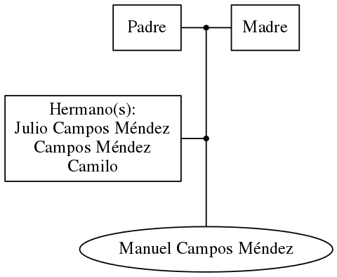 This is a graph with borders and nodes. Maybe there is an Imagemap used so the nodes may be linking to some Pages.