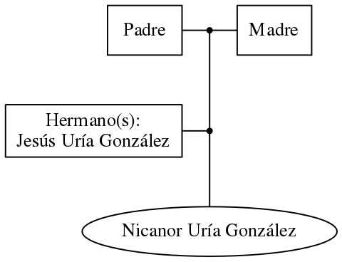 This is a graph with borders and nodes. Maybe there is an Imagemap used so the nodes may be linking to some Pages.