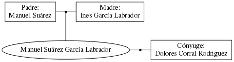 This is a graph with borders and nodes. Maybe there is an Imagemap used so the nodes may be linking to some Pages.