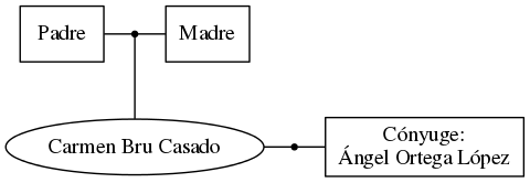 This is a graph with borders and nodes. Maybe there is an Imagemap used so the nodes may be linking to some Pages.